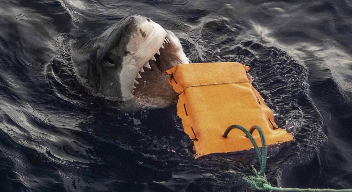 bite-proof-wetsuit-fabric-almost-entirely-prevents-shark-bite-flesh-wounds