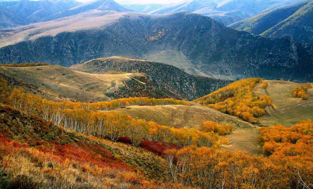 unesco-adds-an-area-the-size-of-bolivia-to-reserves-that-protect-5%-of-the-world’s-land