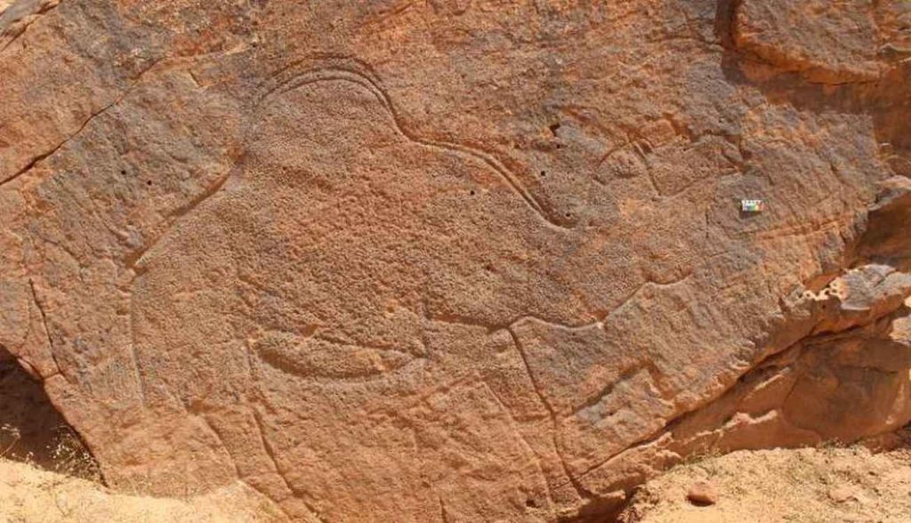 huge-camel-carvings-dating-back-12,000-years-marked-wet-season-oases-like-cultural-road-signs
