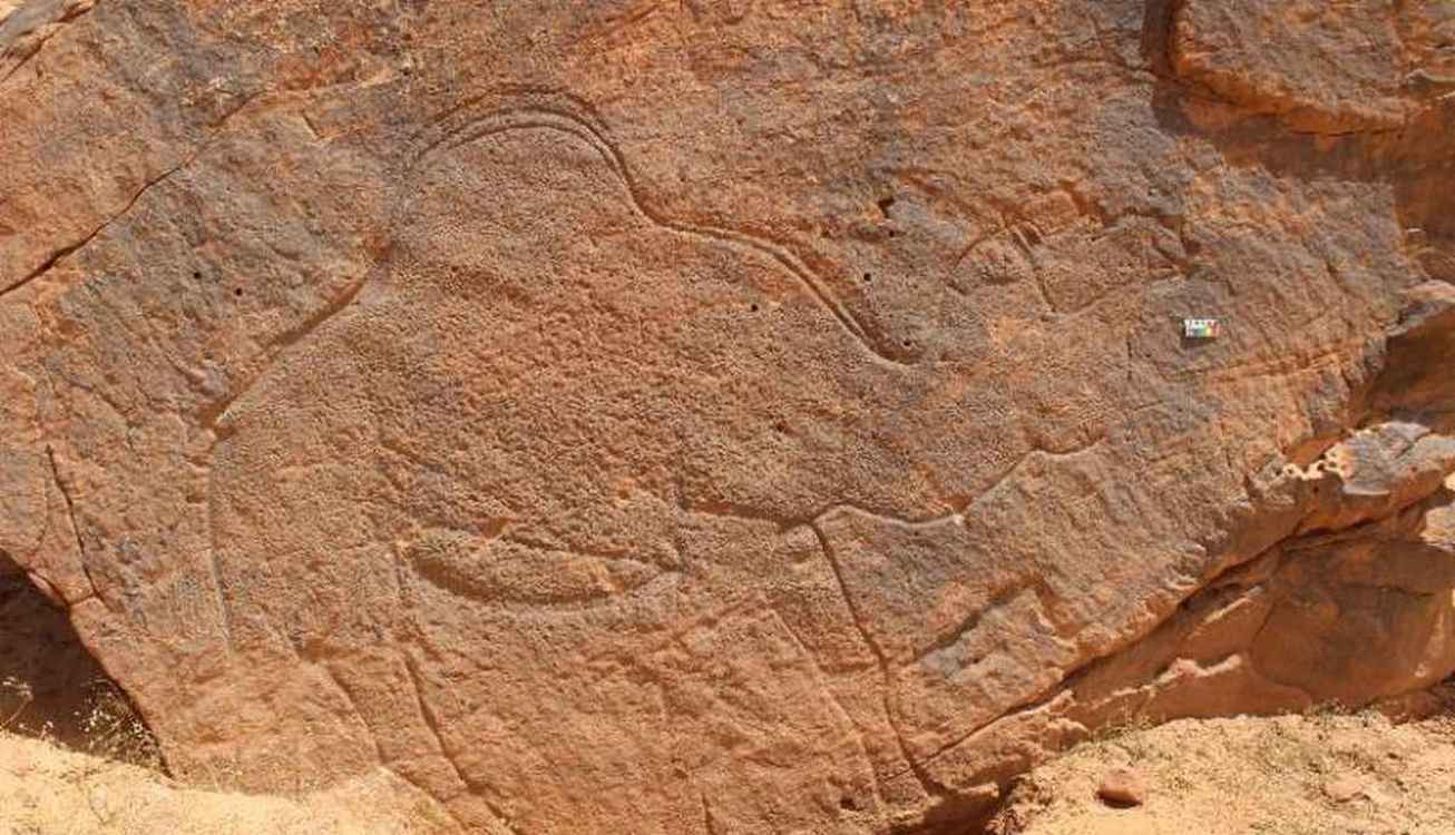 huge-camel-carvings-dating-back-12,000-years-marked-wet-season-oases-like-cultural-road-signs