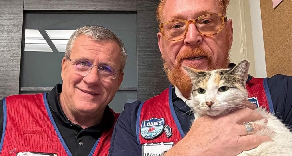 beloved-lowe’s-store-cat-is-finally-found-in-neighboring-state-after-security-footage-reveals-clues