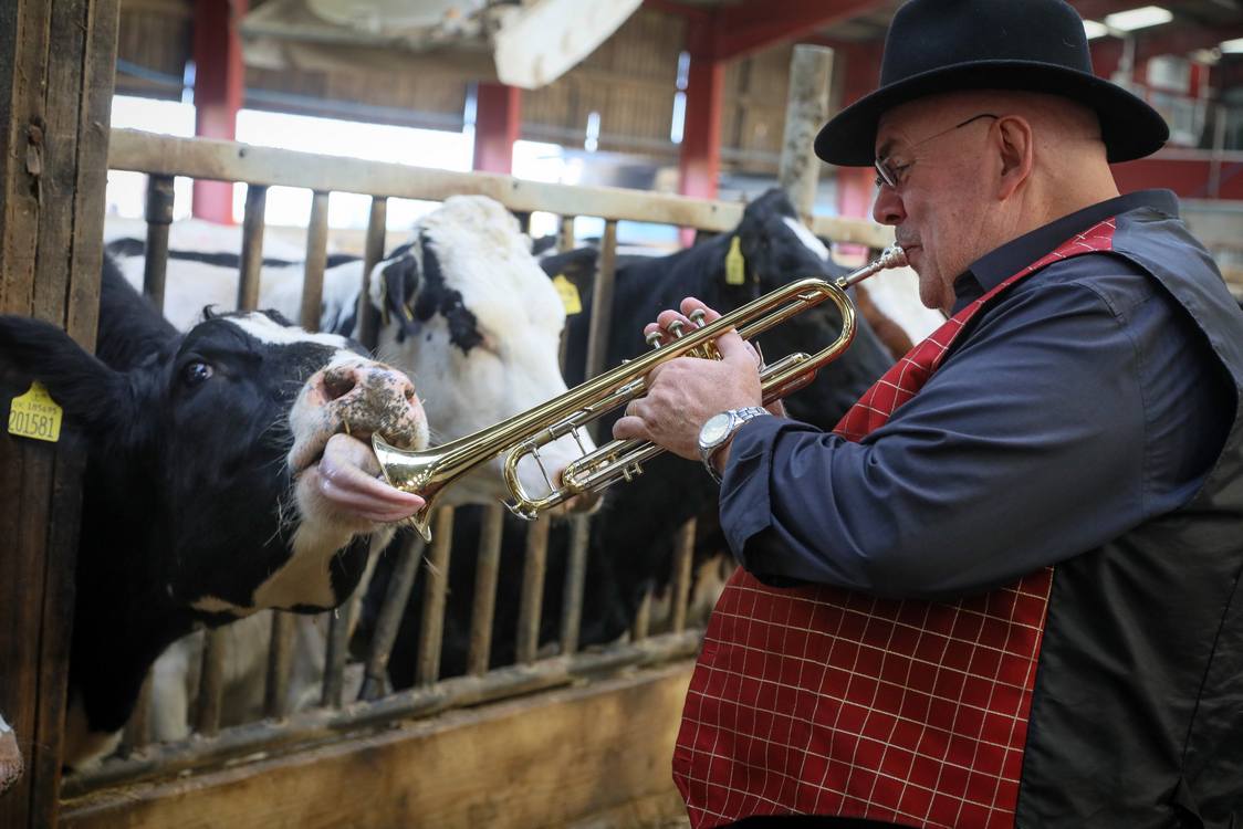 farmers-invite-jazz-band-to-play-moosic-for-cows-in-bid-to-boost-milk-production-–-watch