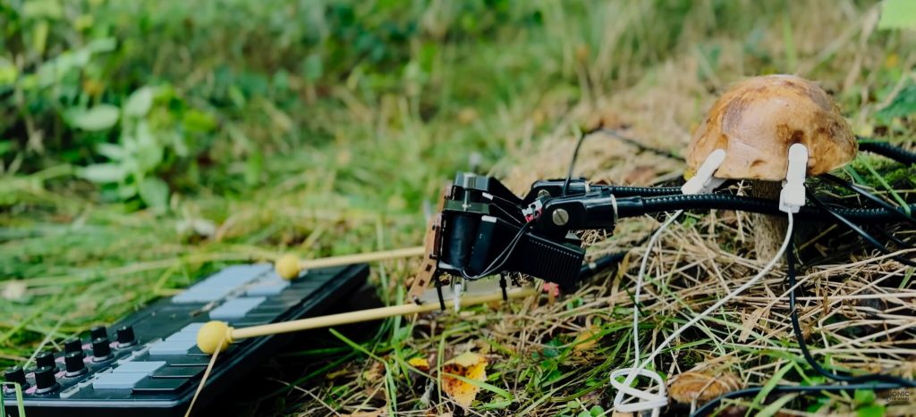 bionic-arms-enable-mushrooms-to-create-music-using-their-own-energy-(listen)