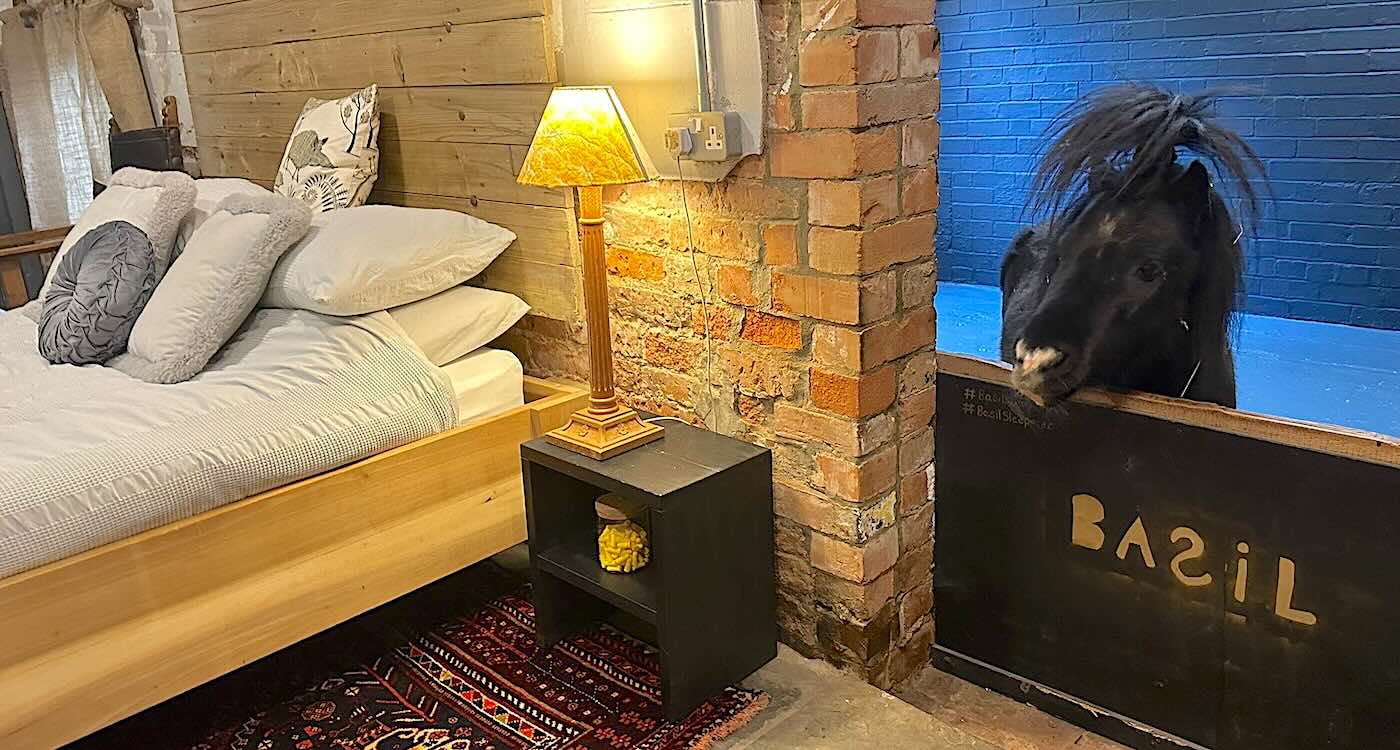 airbnb-lets-you-open-bedroom-door-to-welcome-in-a-miniature-horse-(look)
