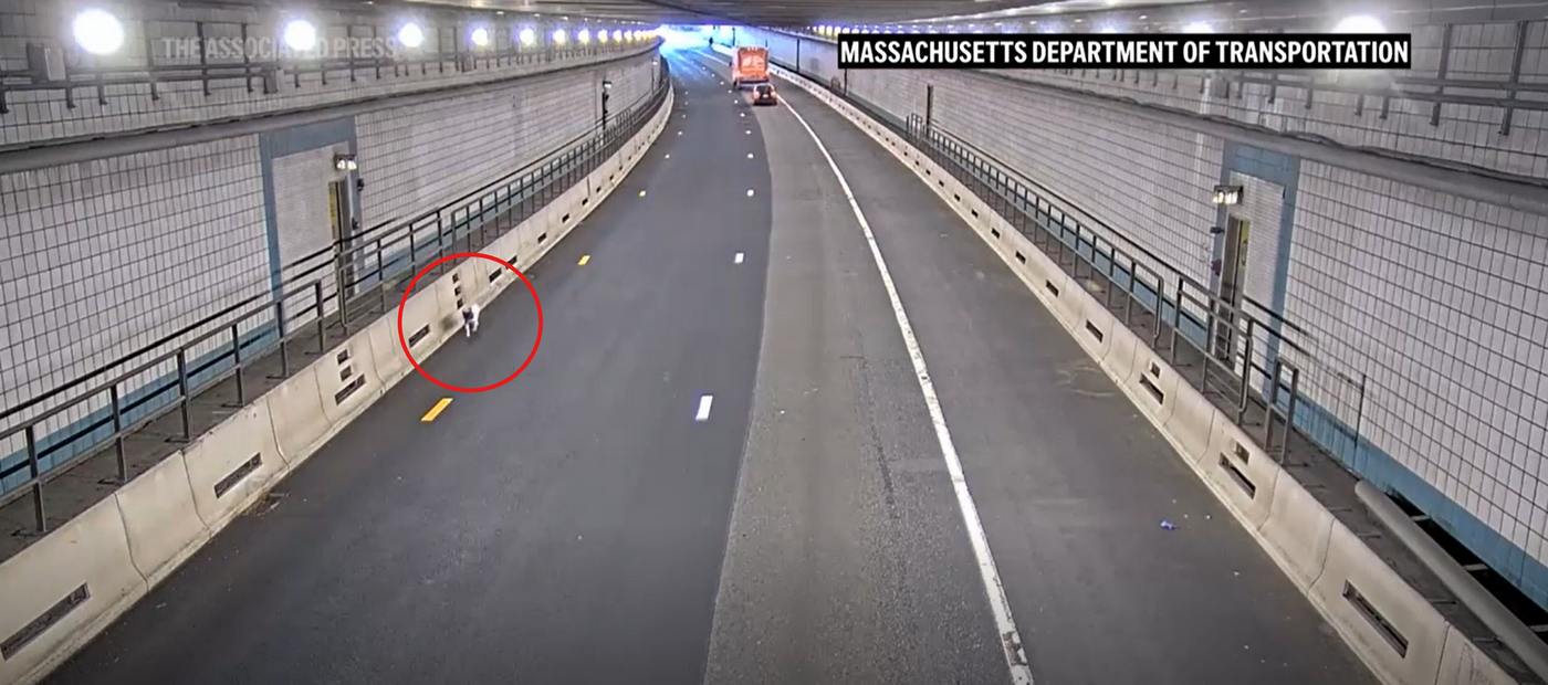 dog-rescued-from-boston-tunnel-during-rush-hour-after-playing-‘will-i-won’t-i’-with-police-–-watch