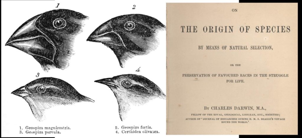 good-news-in-history,-november-24