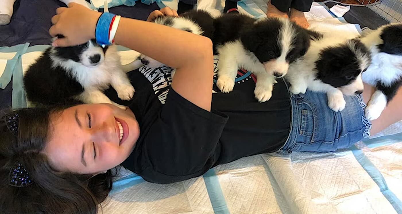 a-pile-of-puppies-treatment-cheers-up-seriously-ill-kids-with-bundles-of-cozy-joy