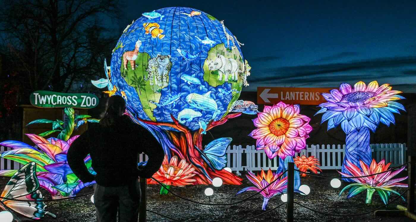 mesmerizing-lantern-display-lights-up-december-with-mile-long-homage-to-wildlife