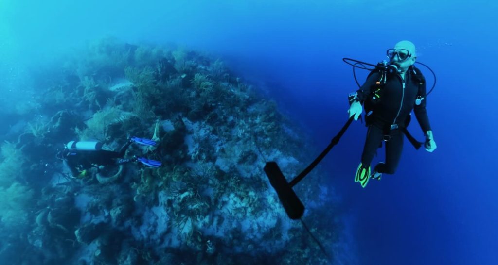 new-underwater-tool-lets-ecologists-id-fish-from-their-sounds–46-species-so-far-(listen-to-5-of-them)