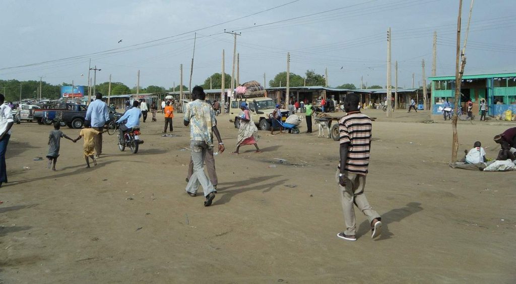 town-on-the-banks-of-the-nile-turns-flooding-into-fortune