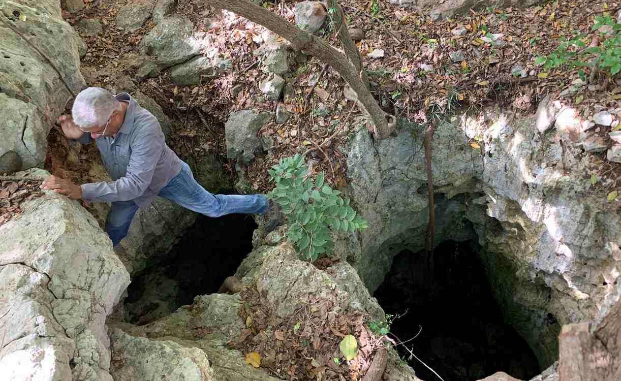 cave-of-wonders:-where-prehistoric-bees-made-nests-in-the-bones-of-animals-eaten-by-colossal-owls