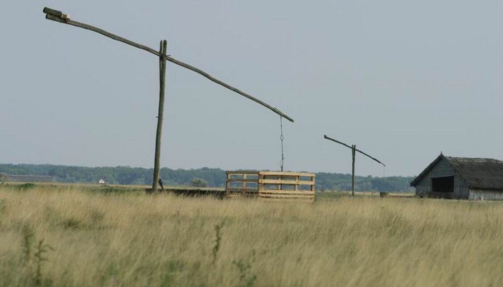 hungary’s-famous-thermal-baths-are-saving-the-country’s-famous-grasslands-from-desertification