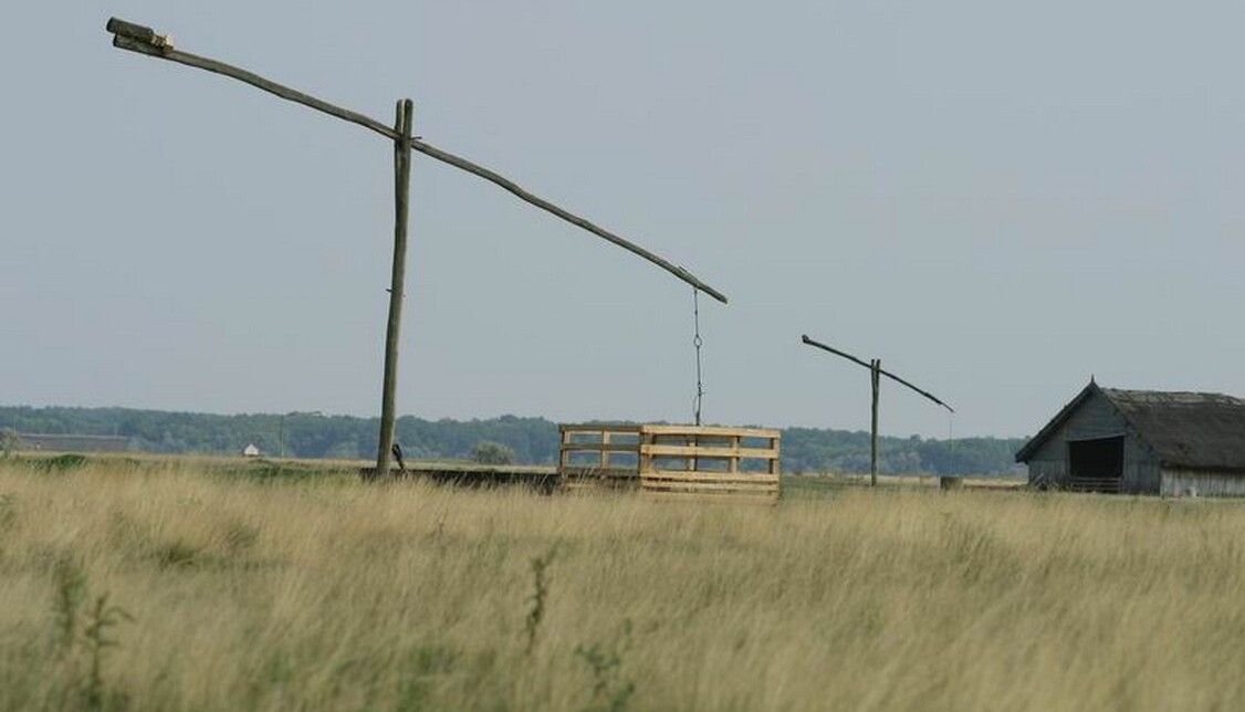hungary’s-famous-thermal-baths-are-saving-the-country’s-famous-grasslands-from-desertification