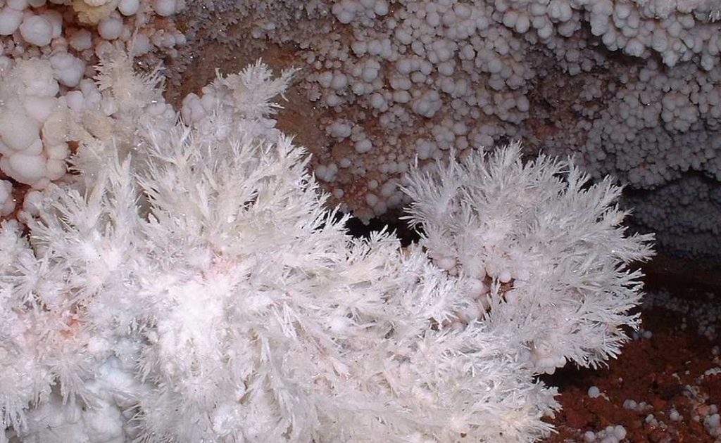 good-news-in-history,-january-9