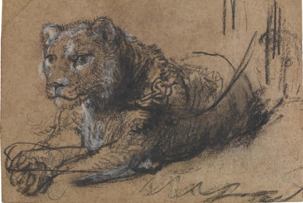 billionaire-tom-kaplan-auctions-rare-rembrandt-lion-drawing-for-$18m-to-help-save-the-animal-it-depicts