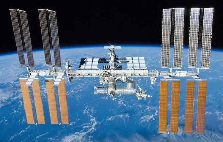 moss-spores-riding-on-the-outside-of-the-space-station-survive-for-9-months
