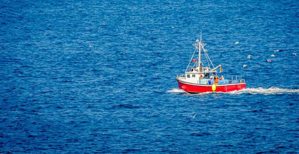 over-90-california-fish-stocks-almost-totally-rebuilt-thanks-to-trawling-ban,-other-measures