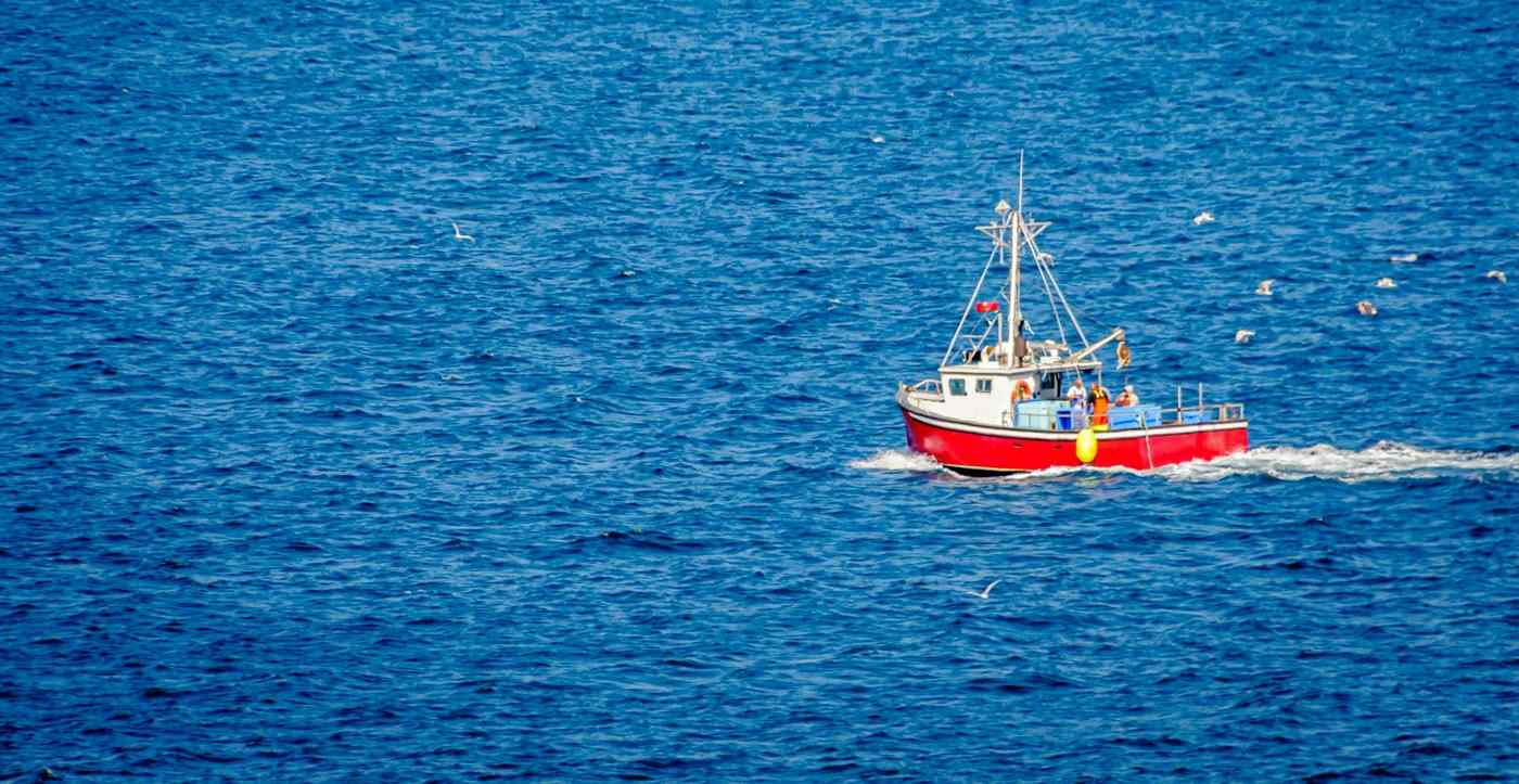 over-90-california-fish-stocks-almost-totally-rebuilt-thanks-to-trawling-ban,-other-measures