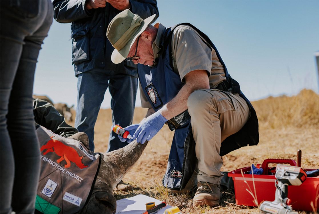 radioactive-isotopes-being-embedded-in-rhino-horns-seen-as-‘magical’-anti-poaching-solution