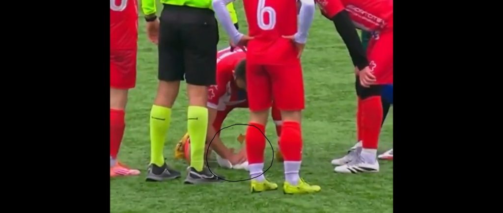 after-soccer-ball-slams-into-seagull,-watch-a-player-use-cpr-to-gently-revive-it-(watch)