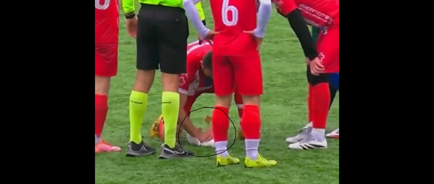 after-soccer-ball-slams-into-seagull,-watch-a-player-use-cpr-to-gently-revive-it-(watch)