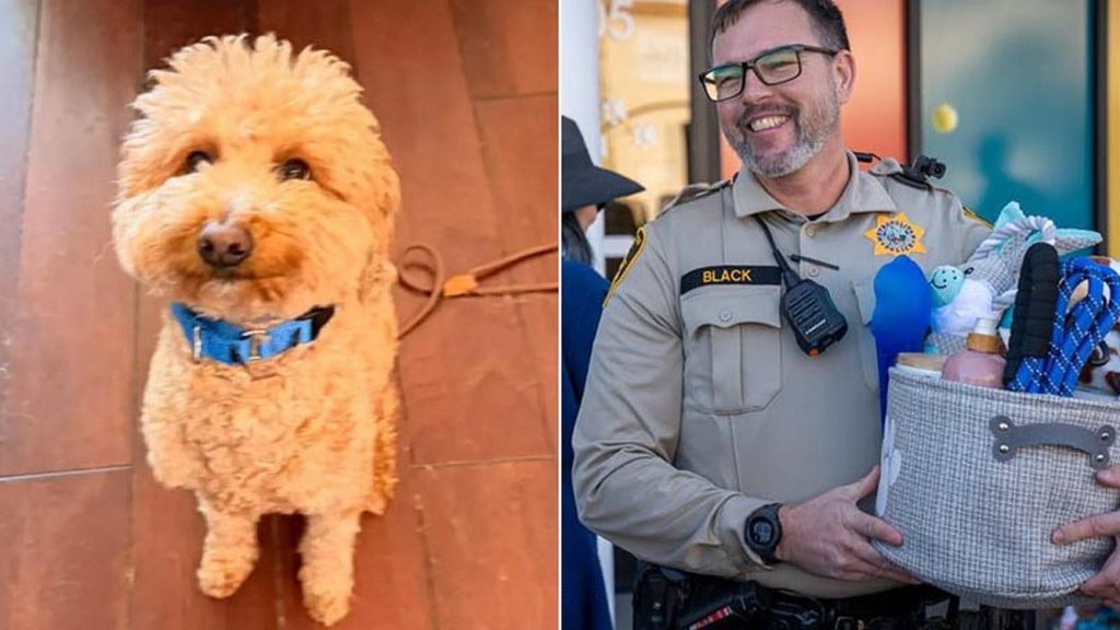abandoned-las-vegas-airport-dog-finds-a-forever-home-with-the-officer-who-saved-him