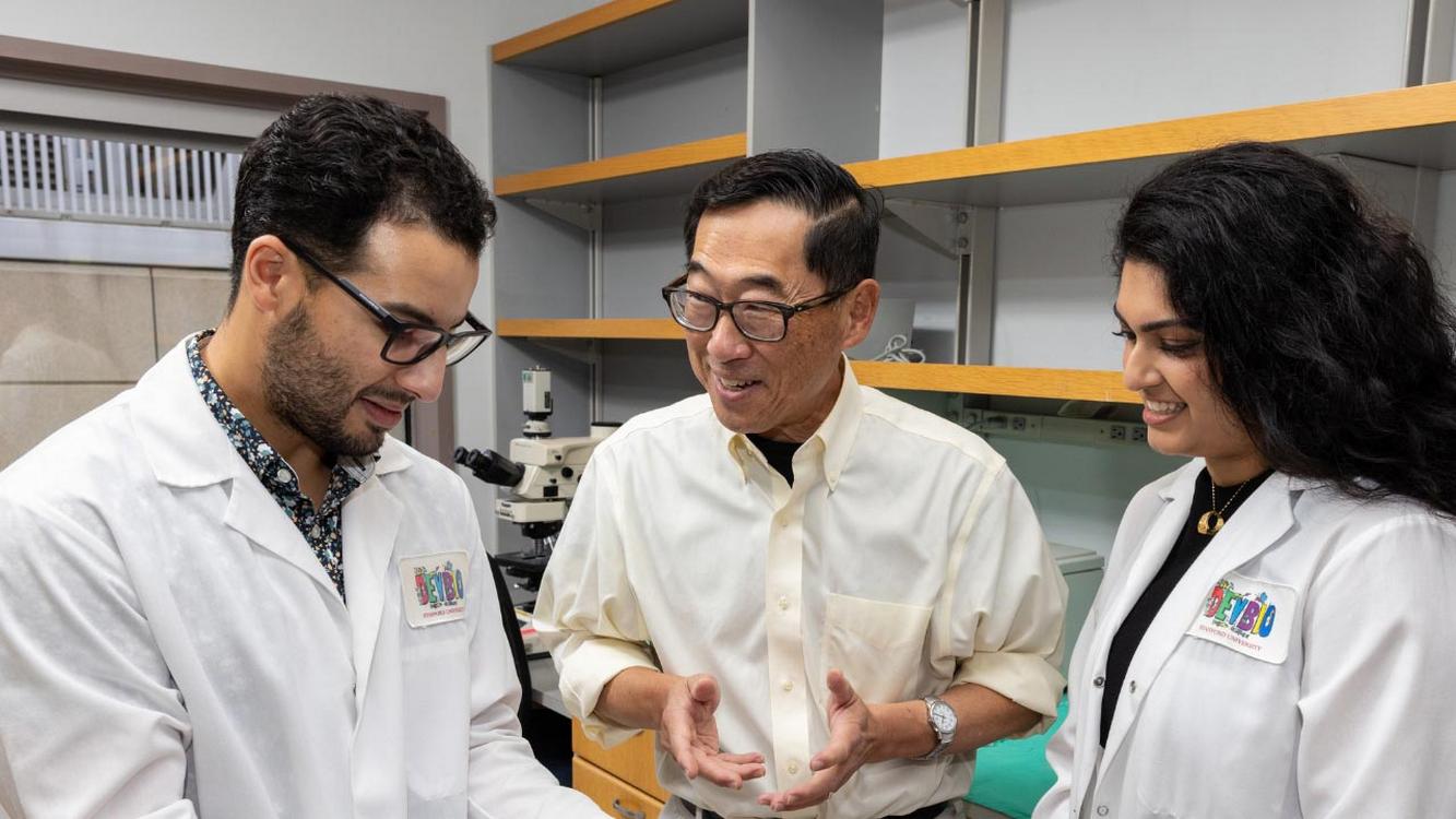 stanford-cures-type-1-diabetes-in-mice-without-insulin-or-immune-suppression