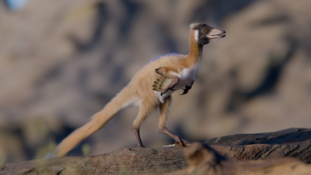 90-million-year-old-‘missing-link’-fossil-of-tiny-bird-like-dinosaur-discovered