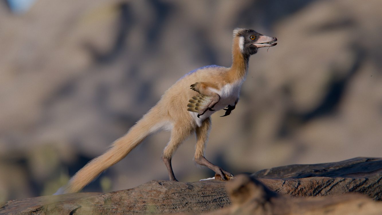 90-million-year-old-‘missing-link’-fossil-of-tiny-bird-like-dinosaur-discovered