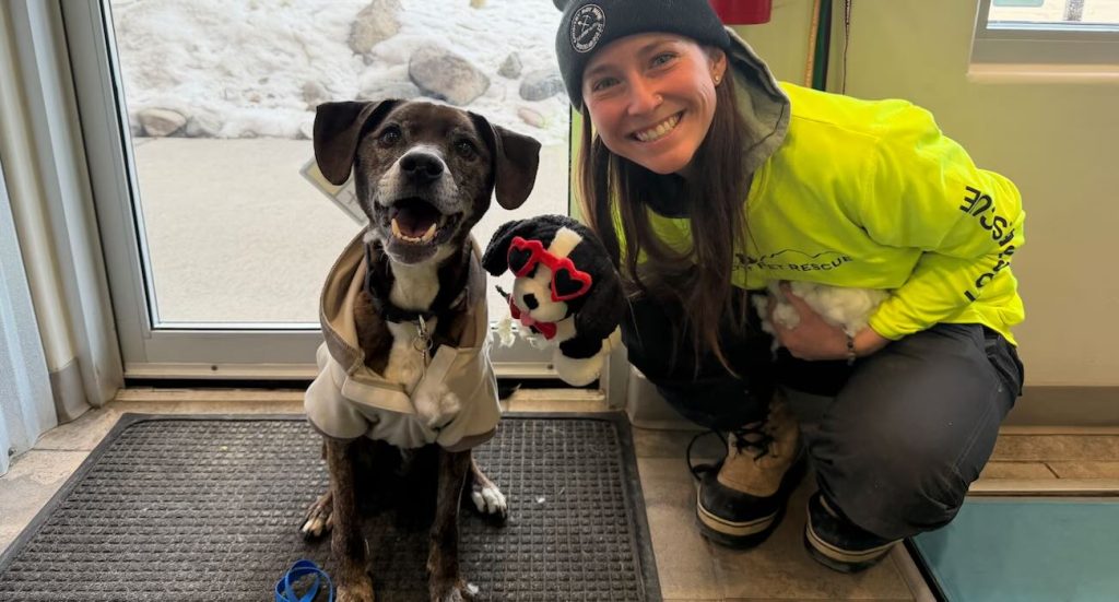 treacherous-43-day-mountain-search-finally-reunites-dog-with-owner-after-it-bolted-during-road-trip:-‘it-was-amazing’