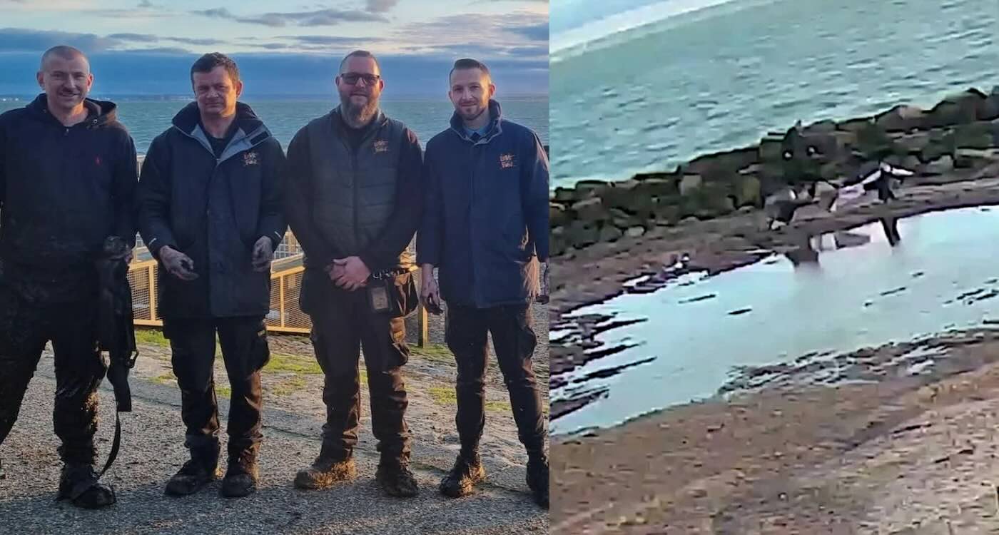 dramatic-cctv-footage-shows-mom-and-daughter-rescued-from-sand-sinkhole,-thanks-to-heroes-with-ropes