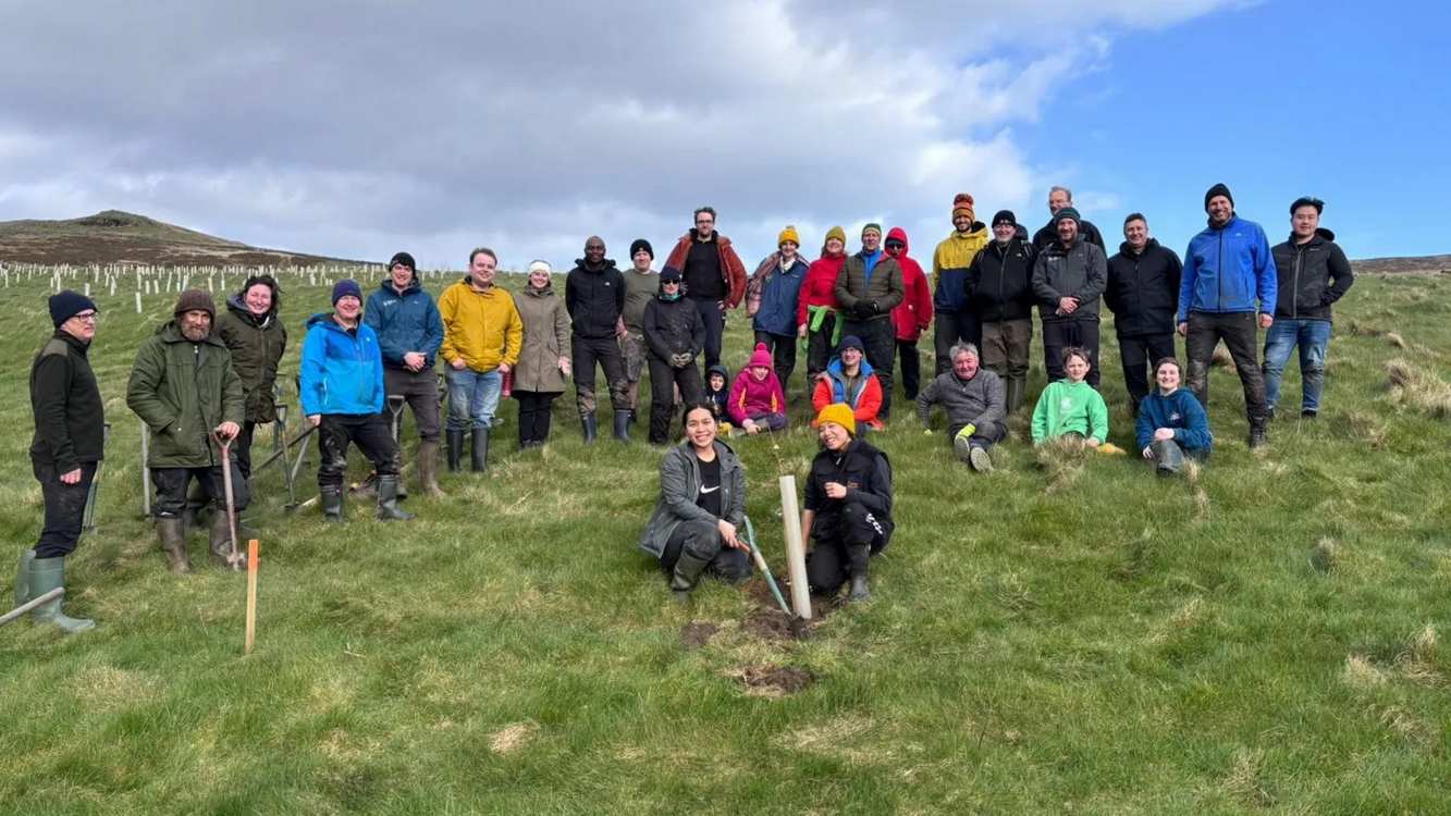planting-30,000-trees-surpasses-goal-for-regenerating-a-rainforest-on-the-isle-of-man
