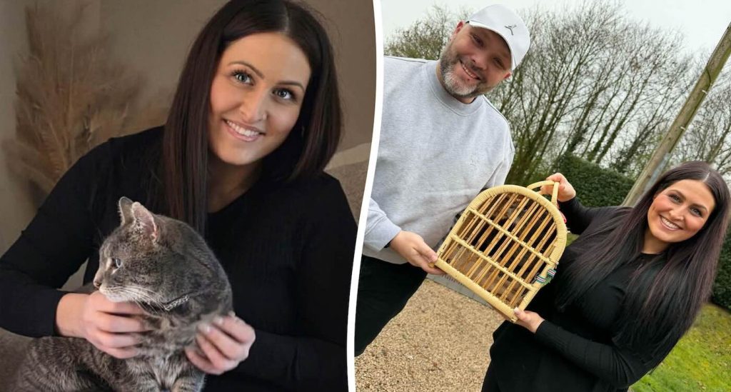 after-5-years,-missing-cat-finally-reunited-with-owner-thanks-to-old-facebook-post-from-when-he-was-stolen